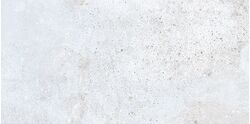 Керамин Портланд 1 светло-серый 60х30