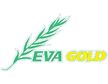 Eva Gold